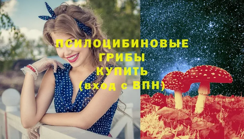 Галлюциногенные грибы мухоморы  купить наркоту  Верея 